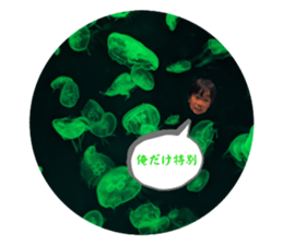 678453181