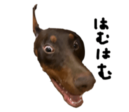 678457312