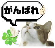 678458194