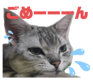 678458208