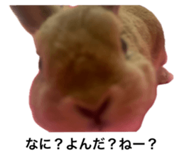 678463150