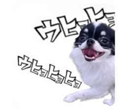 678466558