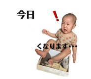 678467731