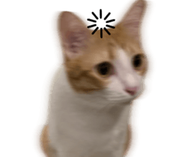 ลายที่ 3