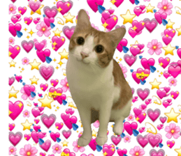 ลายที่ 5