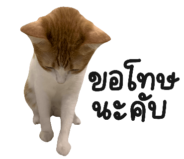 ลายที่ 8