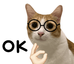 ลายที่ 33