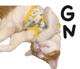 ลายที่ 35