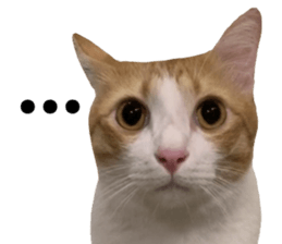 ลายที่ 45