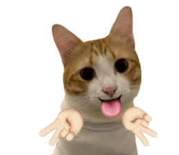 ลายที่ 51