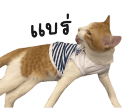 ลายที่ 69