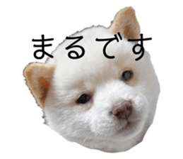 678502069