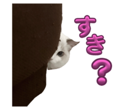 678504705