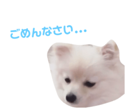 67850521