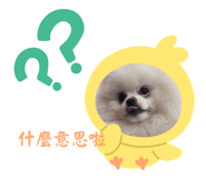 678526956