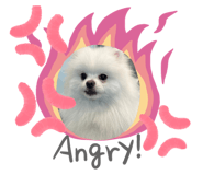 678526964