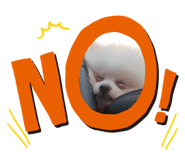 678526967