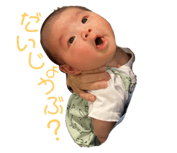 678530009