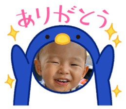 678536005
