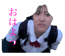 678557216