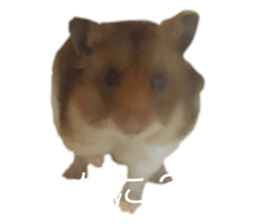 678573342