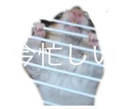 678573345