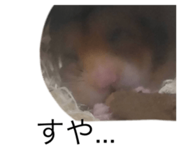 678573364