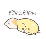 678580220