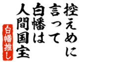 678585307