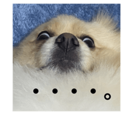 678600180