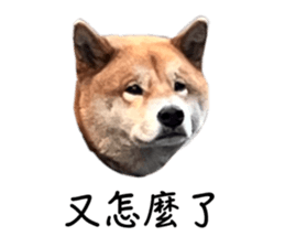 678600976