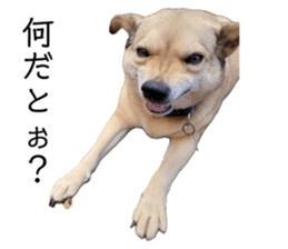 678628677