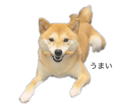 678642214