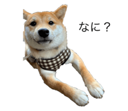 678642220