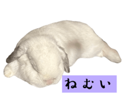 678644496