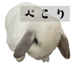 678644502