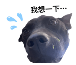 678650190