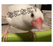 678652170