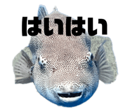 678652175
