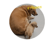 678652352