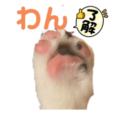 678652683