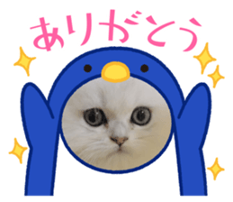 678657831