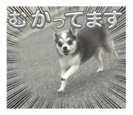 678659251