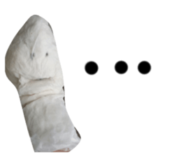 678663164