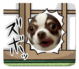 678664105