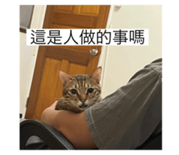 678666350