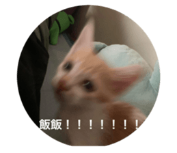 678666883