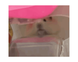 678670879