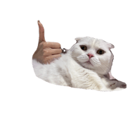678673152