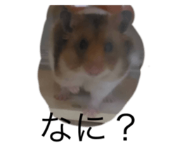 678678705